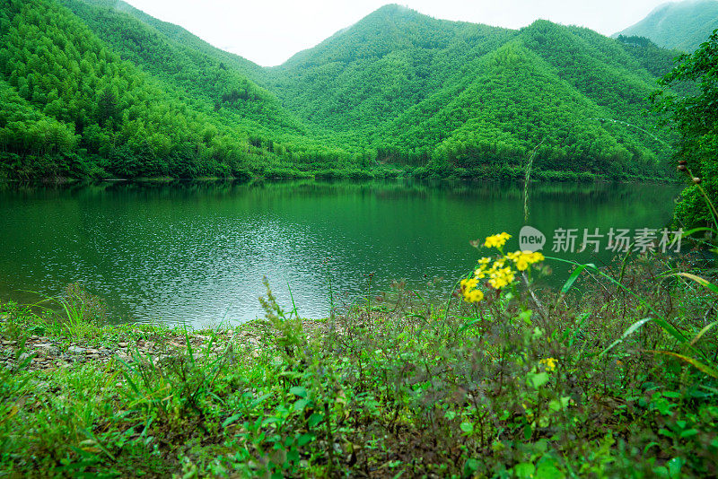 青山绿水