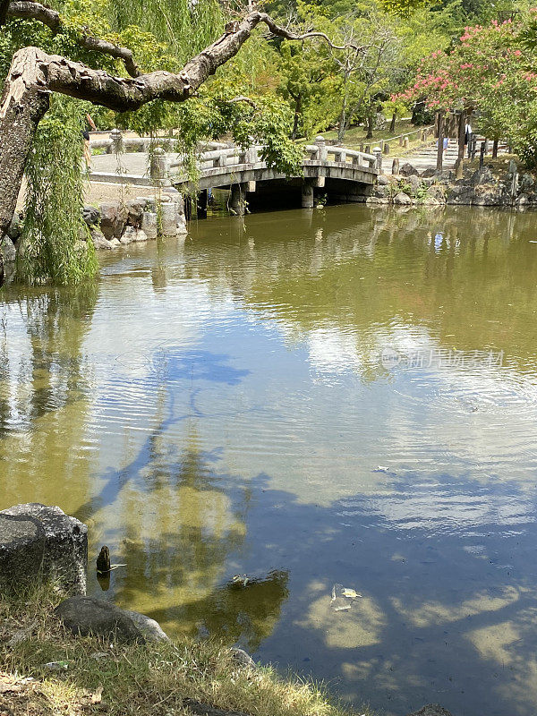 日本-京都-丸山公园