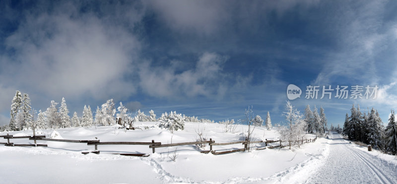 越野滑雪