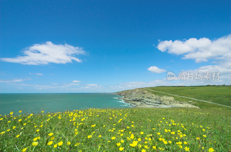 夏天沿海场景