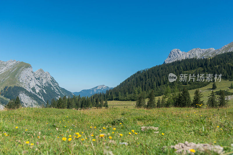 山脉全景在卡温德尔欧洲阿尔卑斯山与草地