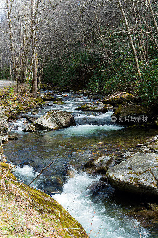 大烟山国家公园的一条河