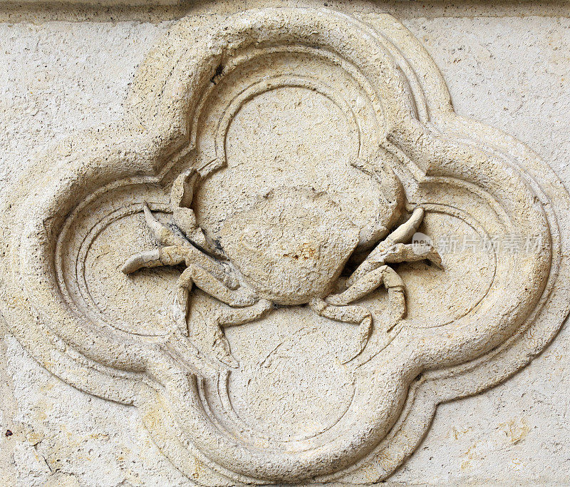 大奖章蟹(龙虾)，法国巴黎圣母院