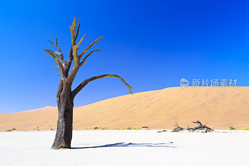 Sossusvlei、纳米比亚