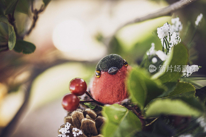 圣诞节的魅力。鸟儿在有冬天浆果的树枝上