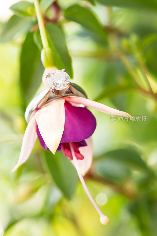 紫红色小瀑布上的订婚戒指