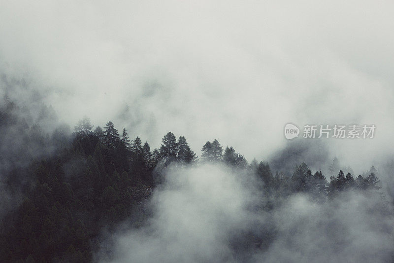 登雾景观