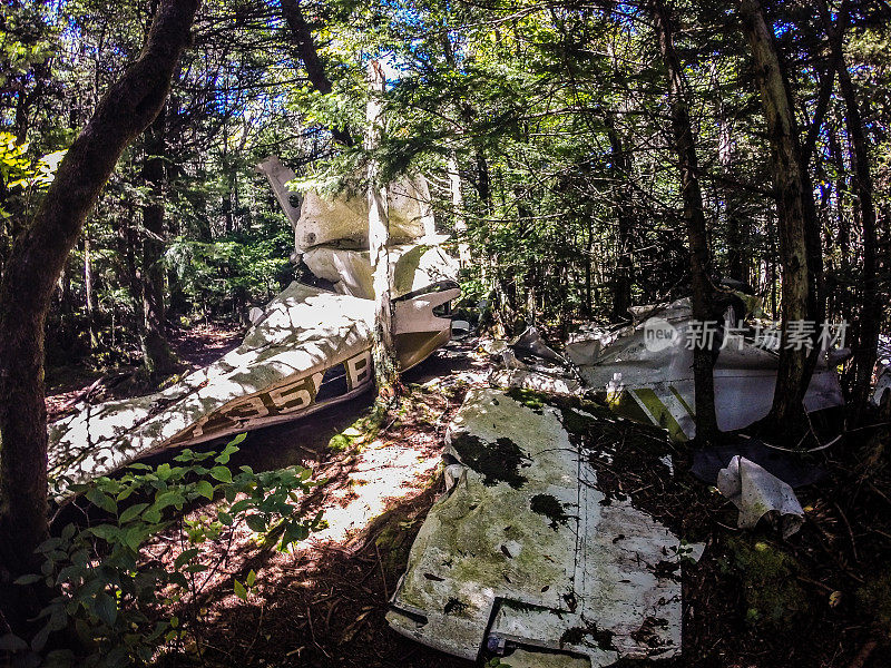 老飞机坠毁在森林里慢慢地分解