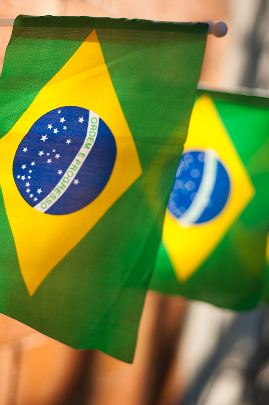 巴西国旗# 3