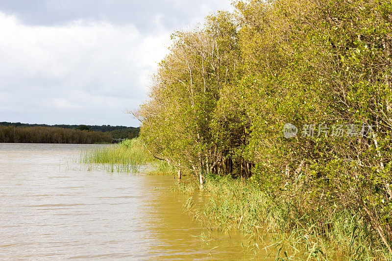 南非夸祖鲁-纳塔尔省的iSimangaliso湿地公园