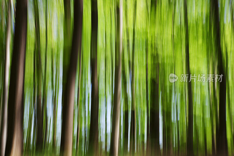 模糊运动树的抽象背景