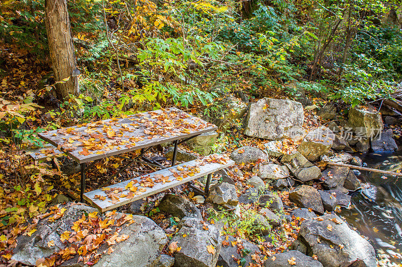 树林里被遗弃的野餐桌