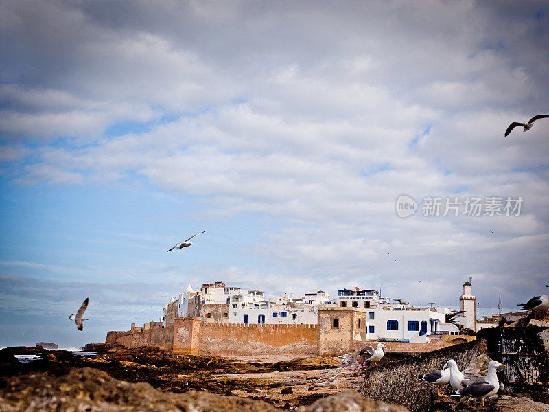 福尔特斯人的Essaouira