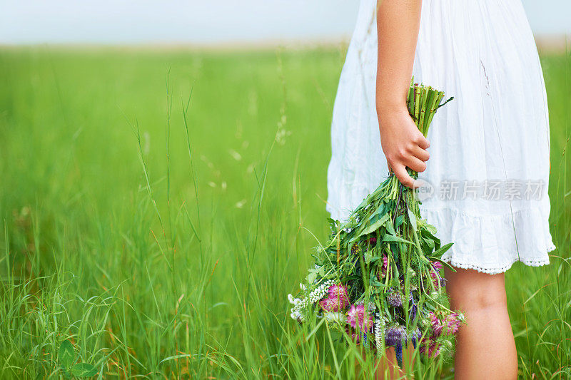 寻找最完美的花朵