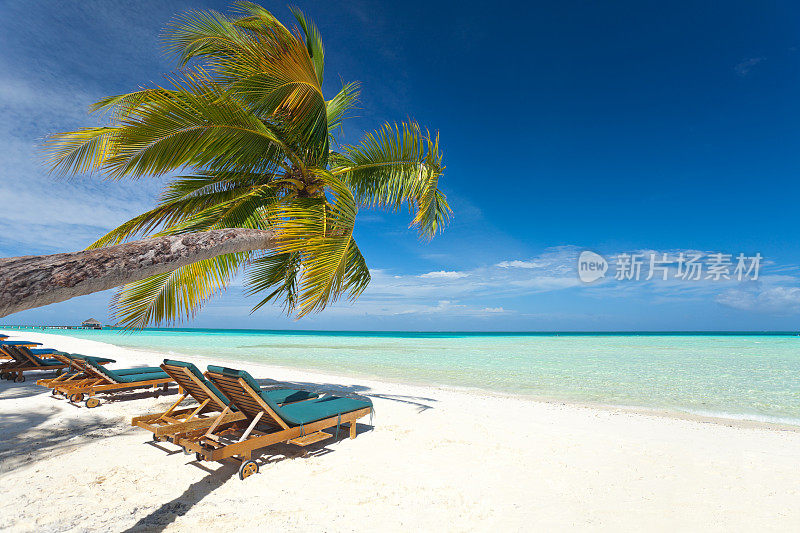 沙滩上空荡荡的日光浴躺椅