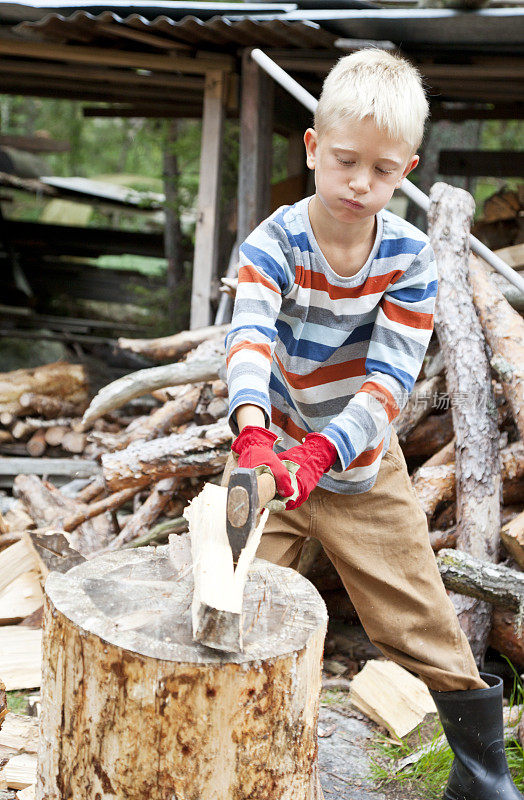 小男孩在专心地砍柴。
