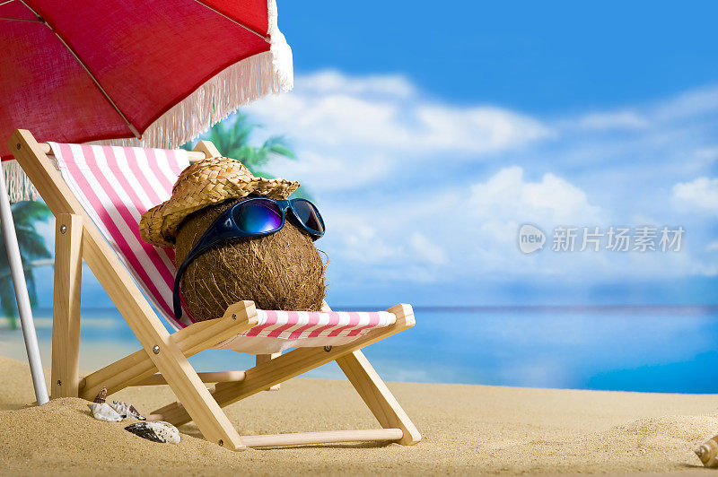 椰子在沙滩上休息