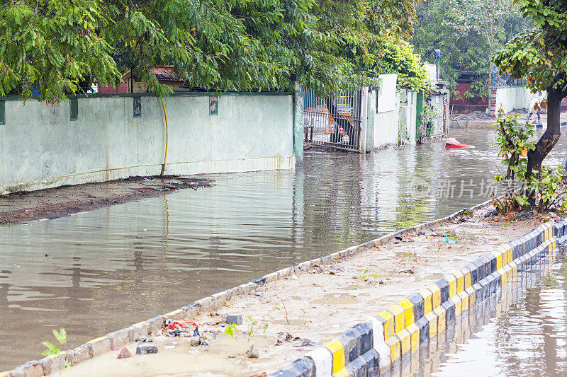 印度德里被洪水淹没的街道