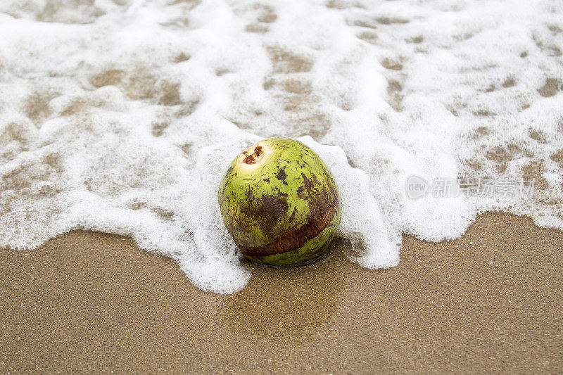 椰子在海滩