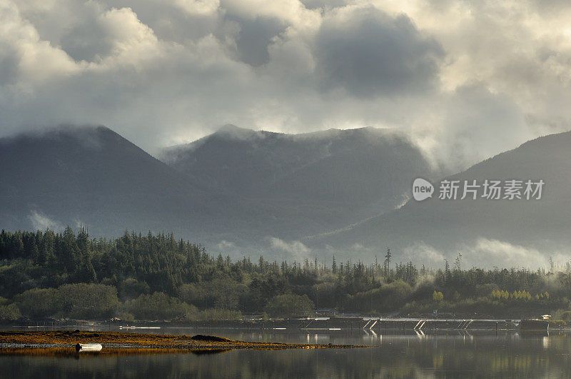 加拿大温哥华岛的晨雾景观