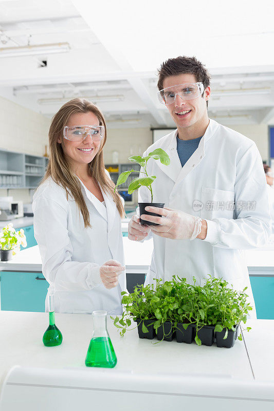 两个学生拿着一株植物