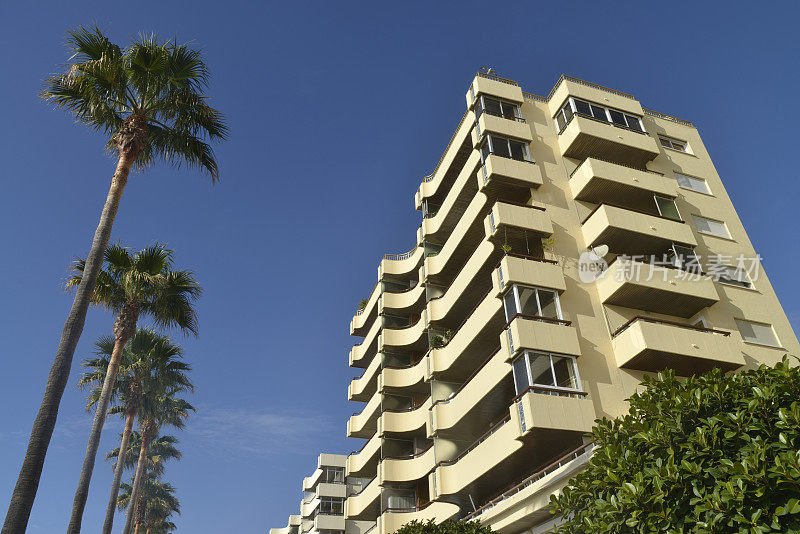 玛贝拉豪华度假公寓和棕榈树。