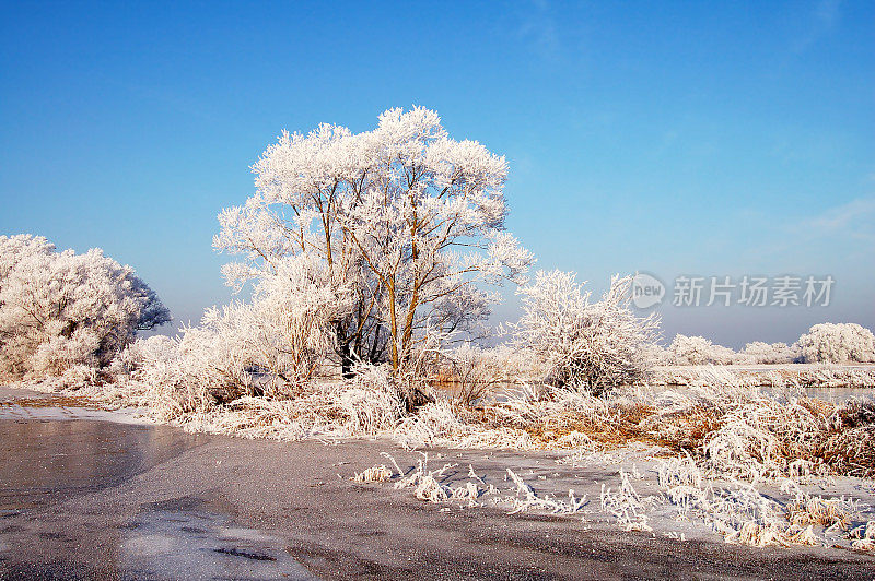 哈韦尔河的冬季景观(德国)