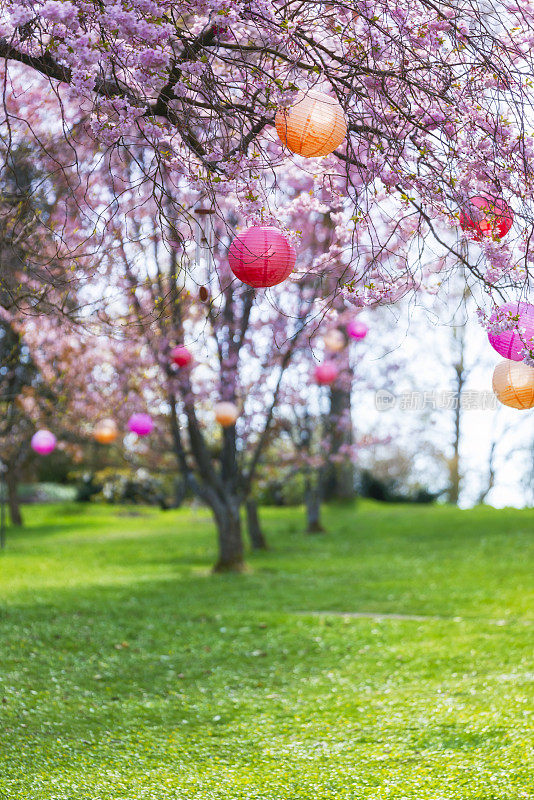 日本赏花的节日