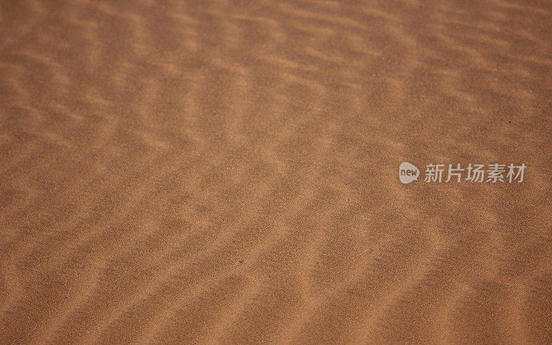 纳米比亚:沙中的涟漪――纳米比亚沙漠