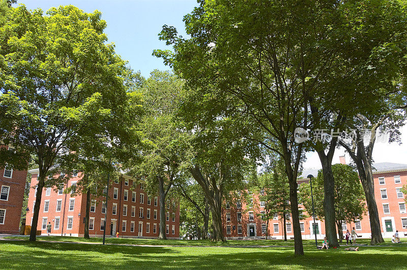大学校园里有树木和大厅