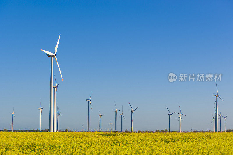 德国西海岸地区的风车涡轮机和油菜籽