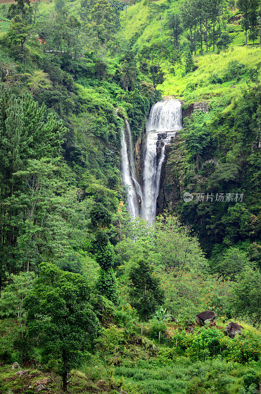 斯里兰卡的瀑布