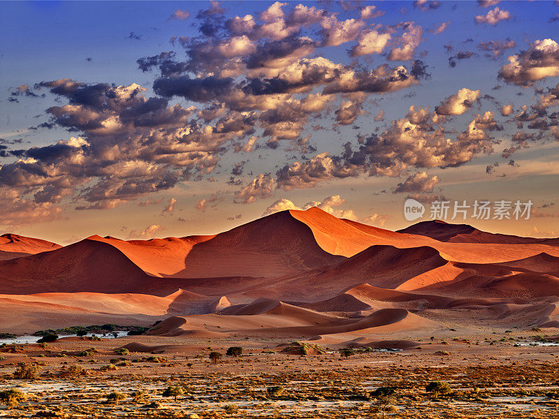 纳米布沙漠的橙色沙丘