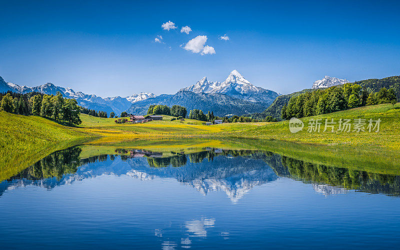 在阿尔卑斯山脉清澈的山湖田园般的夏季景观