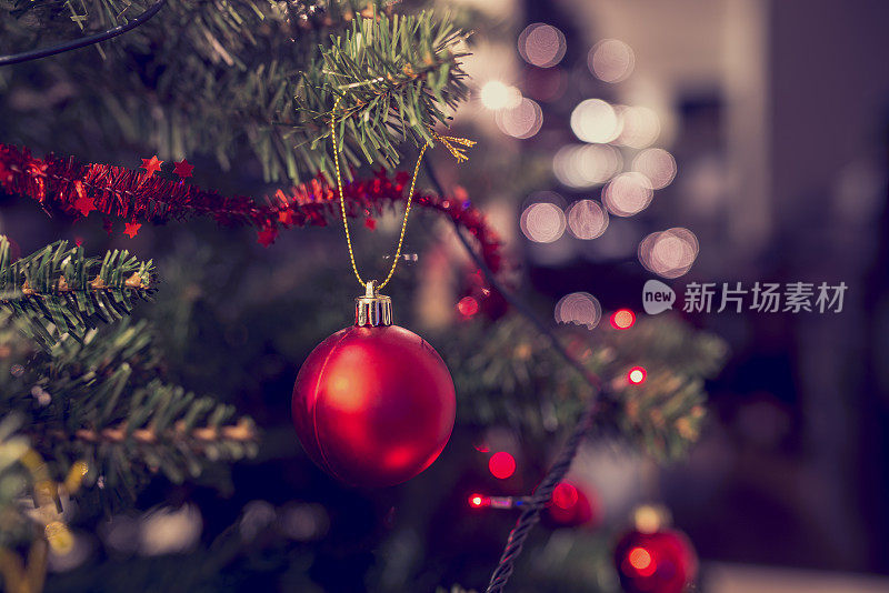 红色小装饰品挂在圣诞树上的特写