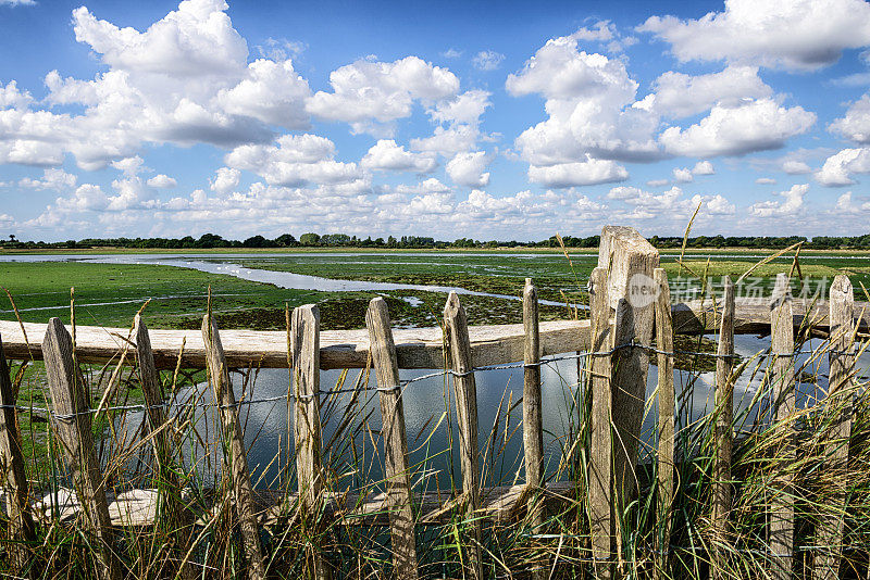 海岸湿地，西苏塞克斯，英格兰