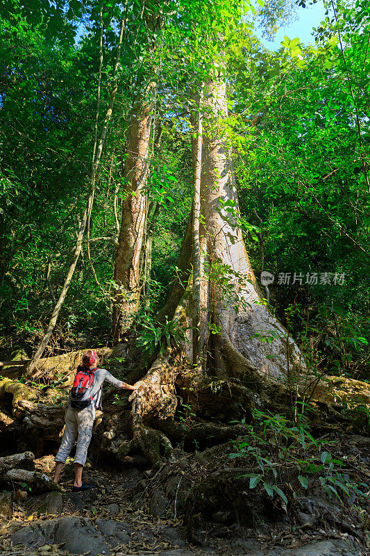 在热带雨林背包徒步旅行的女人