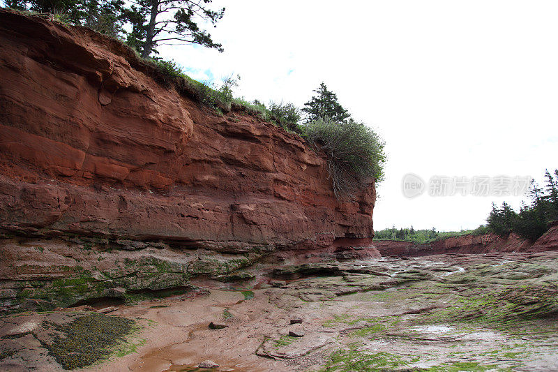 在燃烧头公园的风景，减去盆地，新斯科舍省，加拿大