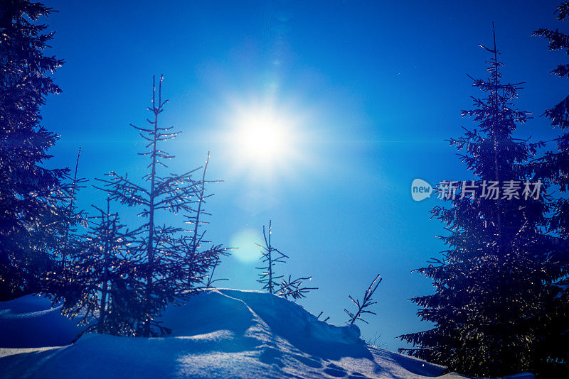 雪山里的夜月