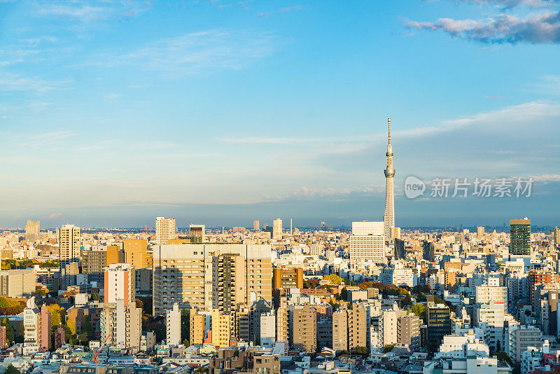 日本东京鸟瞰图