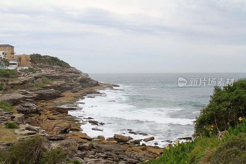 澳大利亚邦迪到库吉海岸步道上的岩石湾