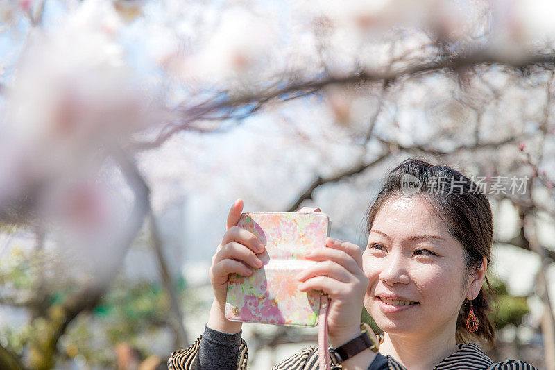 日本女人拍照的花