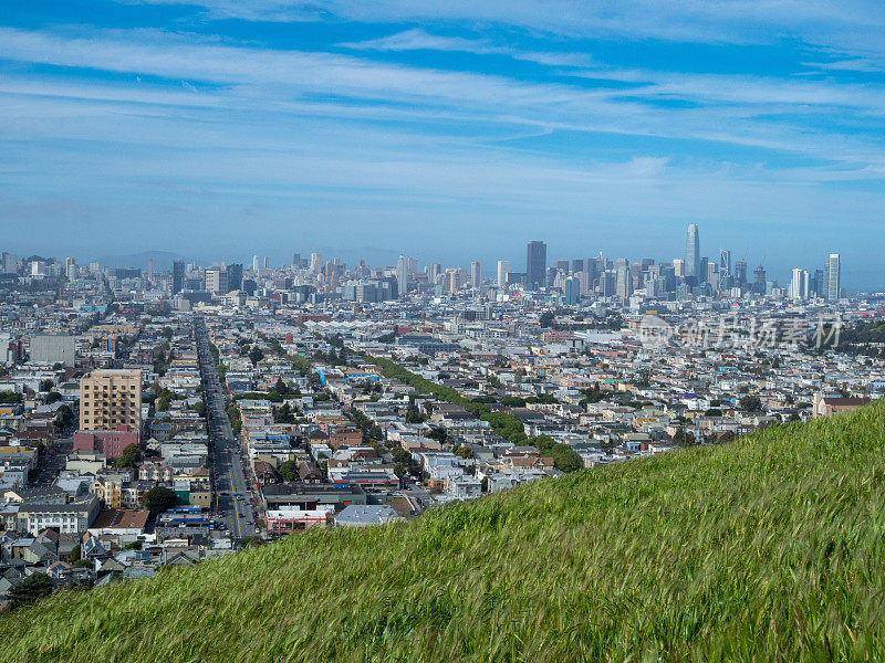俯瞰旧金山天际线的草地