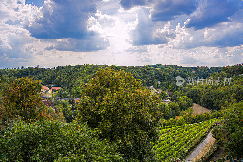 德国巴伐利亚州，弗兰科尼亚，罗滕堡，陶伯，树之间的小葡萄园
