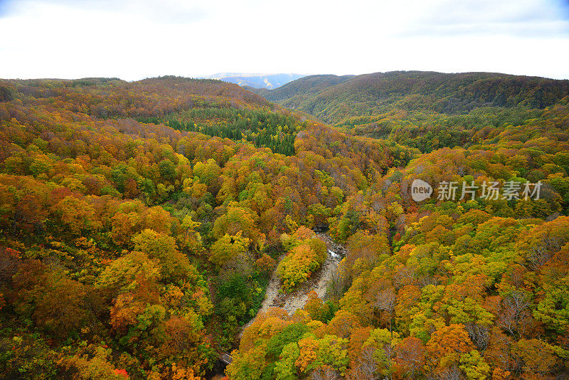 日本青森市日仓峡谷的秋色