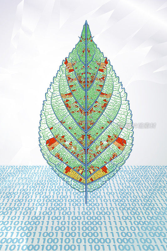 通过植物叶片和叶脉描绘全球变暖和环境