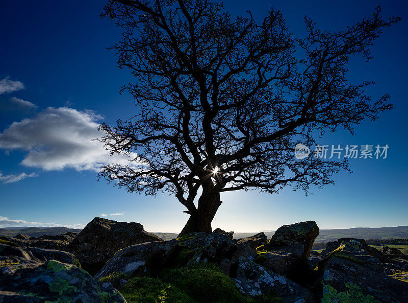 英国约克郡山谷的石灰岩风景