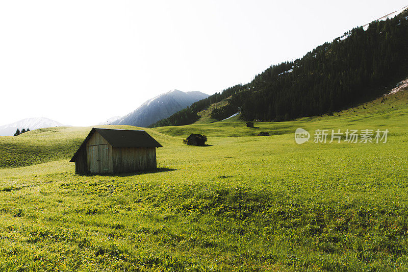 美丽的高山草甸与山上的小屋在日出的奥地利