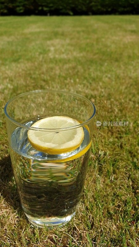 柠檬片在一杯水，以草为背景