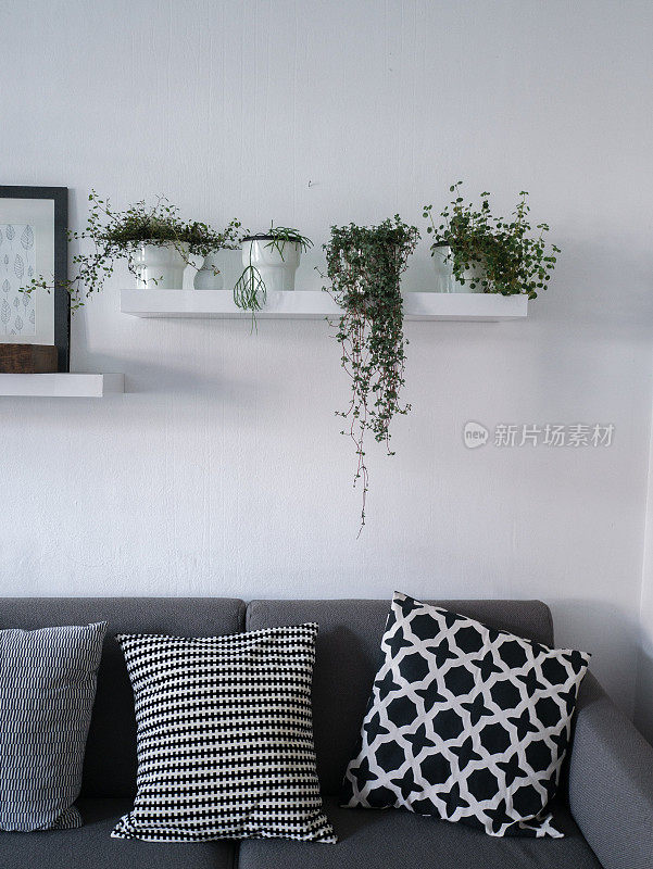 客厅的墙壁装饰和植物